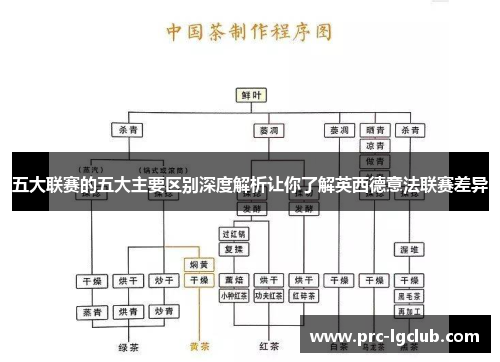五大联赛的五大主要区别深度解析让你了解英西德意法联赛差异 五大联赛的五大主要区别深度解析让你了解英西德意法联赛差异