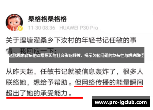 赵鹏现象背后的深层原因与社会影响解析：揭示欠薪问题的复杂性与解决路径
