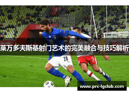 莱万多夫斯基射门艺术的完美融合与技巧解析