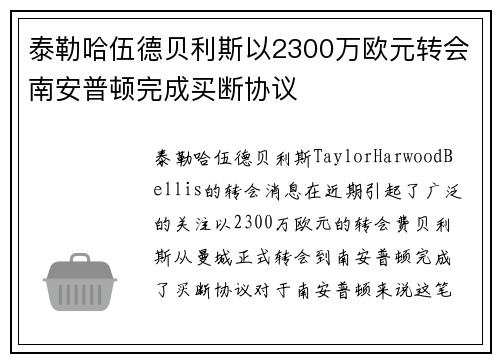 泰勒哈伍德贝利斯以2300万欧元转会南安普顿完成买断协议